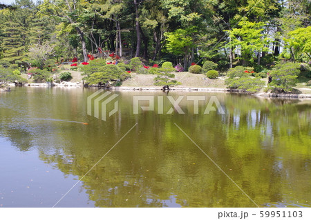 広島縮景園の濯えい池の景色 59951103