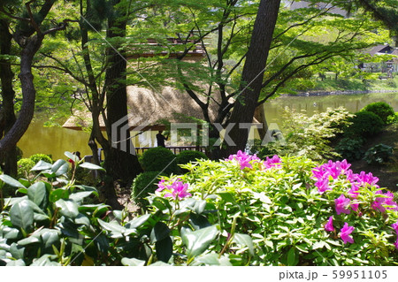 広島縮景園の植え込みと東屋の景色 59951105