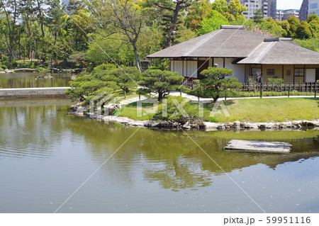 広島縮景園の眺め 広島縮景園の眺め 59951116