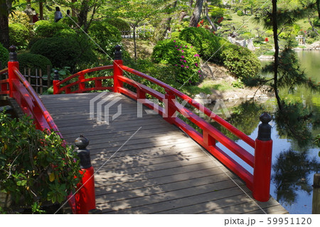 広島縮景園に架かる赤い橋 59951120