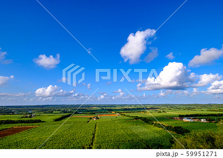 沖縄・南大東島・さとうきび畑俯瞰 59951271