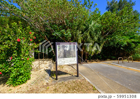 沖縄・南大東島・バリバリ岩 沖縄・南大東島・バリバリ岩 59951308