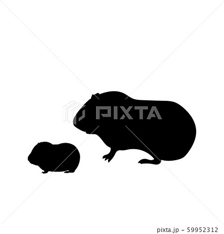 Silhouette Of Guinea Pig And Young Little のイラスト素材