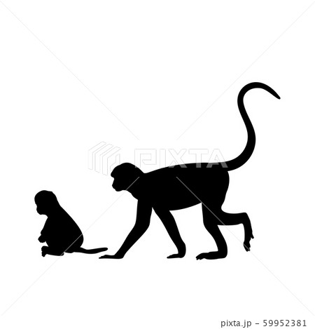Silhouette Of Monkey And Young Little Monkeyのイラスト素材