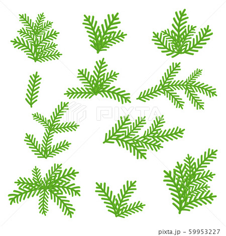 Fir branches with a cone. For Christmas wreath, border, or frames 59953227