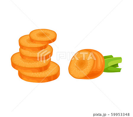 Sliced Carrot Root Vector Element Isolated On White Background Sliced Carrot Root Vector Element Isolated On White Background 59953348