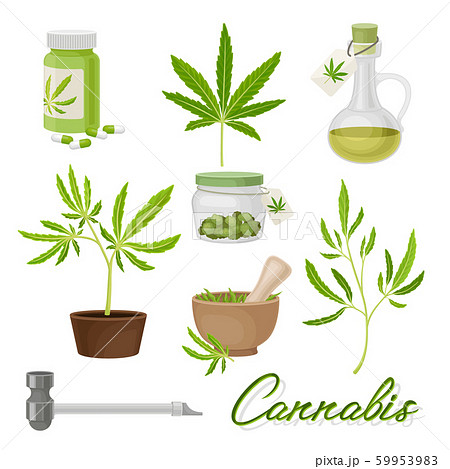 Marijuana Or Cannabis Vector Volume Set のイラスト素材
