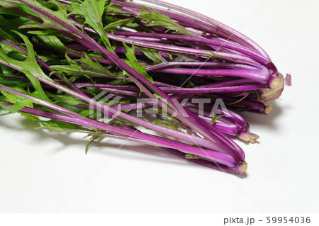 赤水菜 赤水菜 59954036