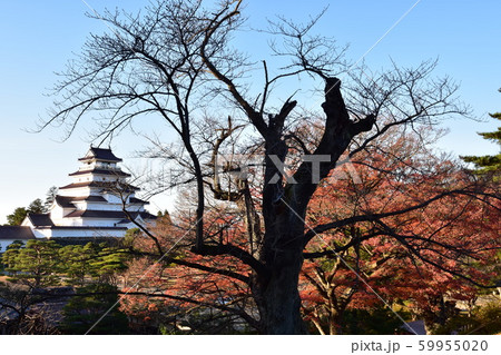 鶴ヶ城 鶴ヶ城 59955020