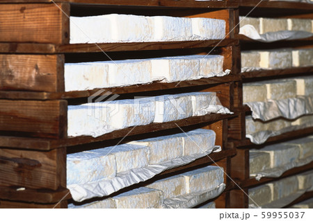 Fresh cheese Taleggio recently seasoned in wood Fresh cheese Taleggio recently seasoned in wood 59955037