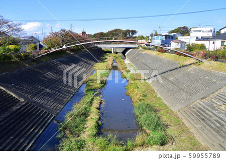 多摩川の風景 多摩川の風景 59955789