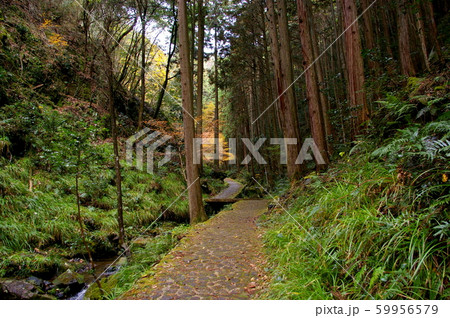 岐阜県八百津 五宝の滝 秋 岐阜県八百津 五宝の滝 秋 59956579