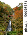 岐阜県八百津 五宝の滝 秋 岐阜県八百津 五宝の滝 秋 59956581
