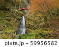 岐阜県八百津 五宝の滝 秋 岐阜県八百津 五宝の滝 秋 59956582