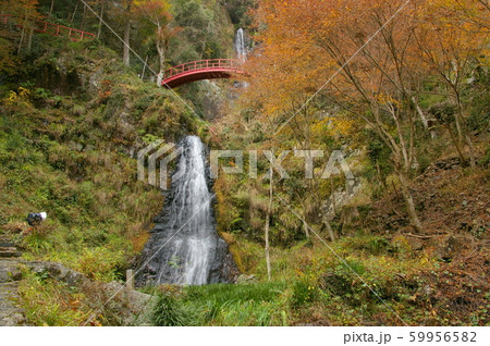 岐阜県八百津 五宝の滝 秋 岐阜県八百津 五宝の滝 秋 59956582