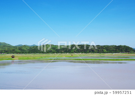 田植え前の田園風景 … 島根県 安来市 天候:晴れ 田植え前の田園風景 … 島根県 安来市 天候:晴れ 59957251