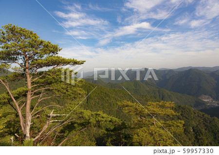 新城鳳来 59957330