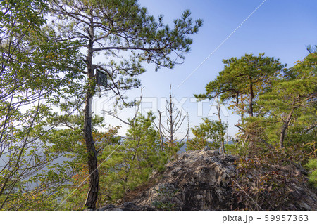 新城鳳来 59957363