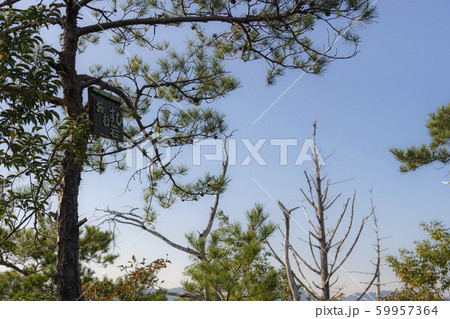 新城鳳来 新城鳳来 59957364