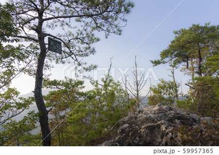 新城鳳来 59957365