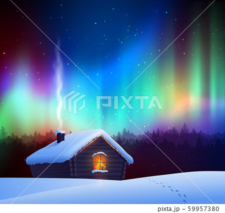 Vector illustration of winter night landscape 59957380