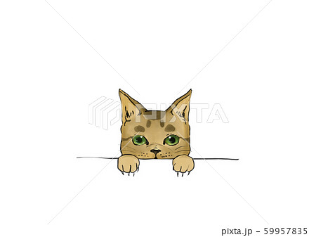 のぞき見する猫のイラスト素材 [59957835] - PIXTA