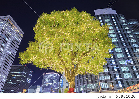 大阪・梅田・御堂筋・イルミネーション 59961026