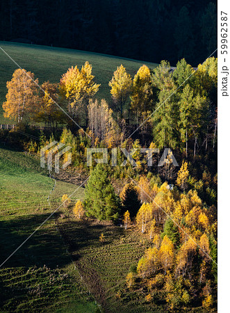 Autumn Santa Magdalena famous Italy Dolomites Autumn Santa Magdalena famous Italy Dolomites 59962587