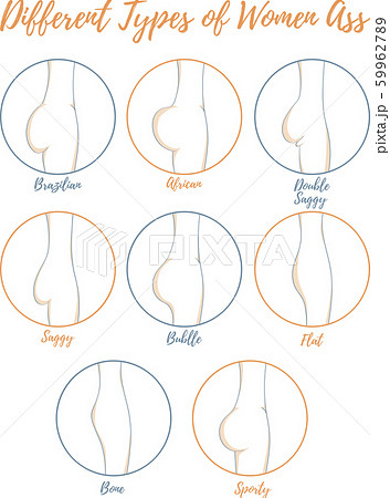 Different types of women ass vector illustration - Stock Illustration  [59962789] - PIXTA
