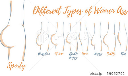 Different types of women ass vector illustration - Stock Illustration [ 59962792] - PIXTA