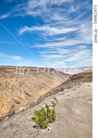 Desert landscape in Death Valley, USA. 59962975
