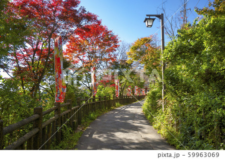 秋の御岳山　御岳山駅付近 59963069