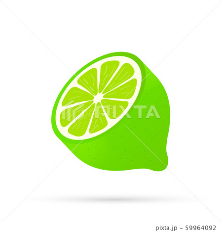 Lime with green leaves, slice citrus isolated on white background. Vector illustration. Lime with green leaves, slice citrus isolated on white background. Vector illustration. 59964092