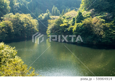 松田川ダム 栃木県 松田川ダム 栃木県 59964914