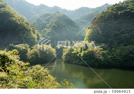 松田川ダム　栃木県 59964915