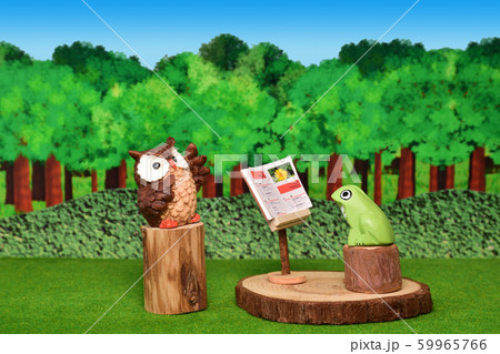 森の青空教室 生徒は森のカエルさん 森の青空教室 生徒は森のカエルさん 59965766