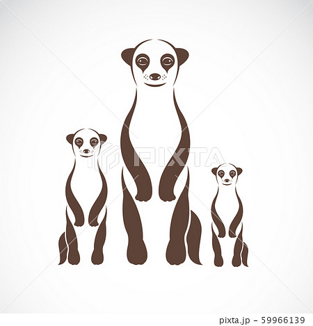 Vector Image Of An Meerkats On White Backgroundのイラスト素材