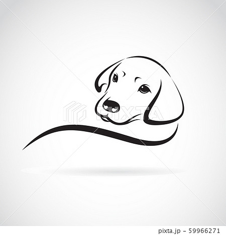 Labrador retriever dog color contour portrait Vector Image