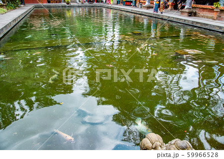 インドネシア バリ島 ティルタ・エンプル寺院の境内 インドネシア バリ島 ティルタ・エンプル寺院の境内 59966528