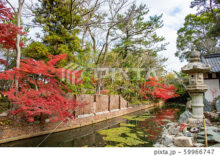 三重県　桑名　諸戸氏庭園の秋の一般公開　紅葉の庭　水路 59966747