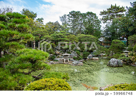 三重県　桑名　諸戸氏庭園の秋の一般公開　秋の庭　池 59966748