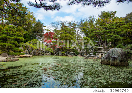 三重県 桑名 諸戸氏庭園の秋の一般公開 紅葉の庭 三重県 桑名 諸戸氏庭園の秋の一般公開 紅葉の庭 59966749