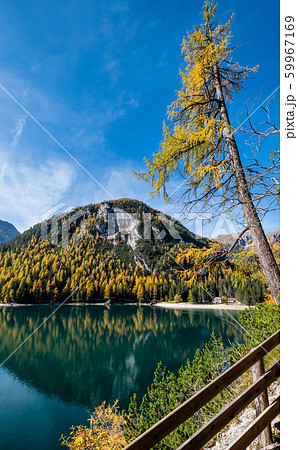 Autumn peaceful alpine lake Braies or Pragser 59967169