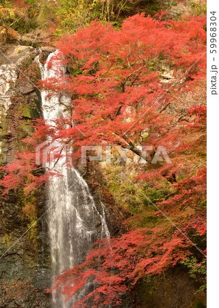 箕面の滝と紅葉 箕面の滝と紅葉 59968304