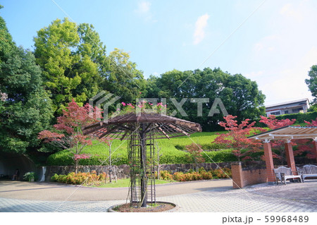 秋の公園 59968489