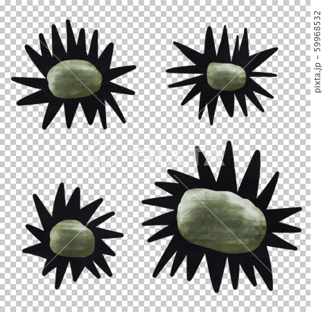 空っぽのウニ 食後 すかすか 空っぽのウニ 食後 すかすか 59968532