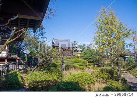 狭山不動尊　境内　所沢市 59968714