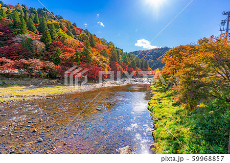 香嵐渓 紅葉 昼 【愛知県】 香嵐渓 紅葉 昼 【愛知県】 59968857