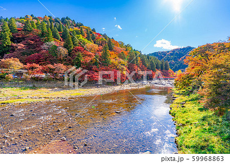 香嵐渓　紅葉　昼　【愛知県】 59968863