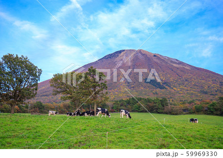 大山 59969330